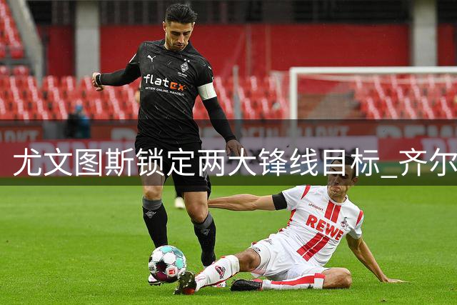 尤文图斯锁定两大锋线目标 齐尔克泽或成关键引援
